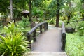 Exotic thai garden with plants and trees asian style