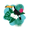 Exotic Toucan Bird, Colorful Hibiscus Flowers Blossom and Tropical Leaves Royalty Free Stock Photo