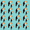 Exotic Toucans on Blue Pattern, Texture, Backround