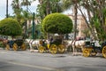 Exotic tourist transport in carriage with horse in Malaga city