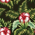 Tropical botanical composition hibiscus palm leaves black background Royalty Free Stock Photo