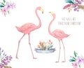 Exotic tropic bird pink flamingo with leaves and plant flower agave hand drawn watercolor. Print trendy flower illustration Royalty Free Stock Photo