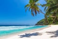 Coco palms on Exotic Tropical beach Royalty Free Stock Photo