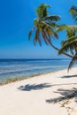 Coco palms on Exotic Tropical beach Royalty Free Stock Photo