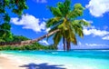 Exotic tropical beach from dreams. Palm over turquoise sea Royalty Free Stock Photo