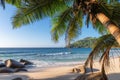 Exotic tropical beach with palms and blue sea at sunset Royalty Free Stock Photo