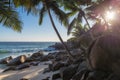 Exotic tropical beach with palms and blue sea at sunset Royalty Free Stock Photo