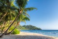 Exotic tropical beach with palms and blue sea at sunset Royalty Free Stock Photo