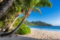 Exotic Tropical beach at sunset and coconut palms on Seychelles. Royalty Free Stock Photo