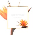 Exotic tropical bright orange strelitzia bird of paradise flower. Card banner flyer cover square border frame template. Royalty Free Stock Photo