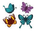 Exotic tropical butterflies with unusual elegant wings set