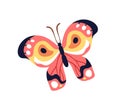 Exotic tropical butterfly flying. Beautiful moth with multi-colored wings. Summer insect. Abstract spring fauna species