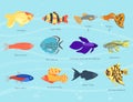 Exotic tropical fish different colors underwater ocean species aquatic nature flat vector illustration
