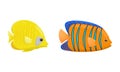 Exotic Tropical Fish of Different Shapes and Colors Vector Set Royalty Free Stock Photo