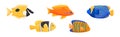 Exotic Tropical Fish of Different Shapes and Colors Vector Set Royalty Free Stock Photo