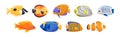 Exotic Tropical Fish of Different Shapes and Colors Vector Set Royalty Free Stock Photo