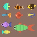 Exotic tropical fish race different breed colors underwater ocean species aquatic strain nature flat vector illustration