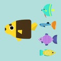 Exotic tropical fish race different breed colors underwater ocean species aquatic strain nature flat vector illustration