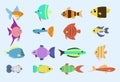 Exotic tropical fish race different breed colors underwater ocean species aquatic strain nature flat vector illustration