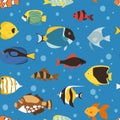 Exotic tropical fish underwater ocean or aquarium aquatic nature seamless pattern background vector