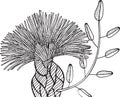 Exotic tropical flower with branch and leaves - detailed coloring page for adults