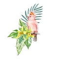 Exotic tropical flower decoration with pink parrot. Watercolor illustration. Beautiful tropical bird with palm leaves