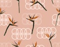 Exotic tropical flowers bird of paradise Hand drawn on geometric circle background seamless pattern Vector illustration Royalty Free Stock Photo