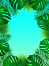 Exotic tropical frame with jungle plants, palm leaves, monstera and place for your text. Nature background. Vector Royalty Free Stock Photo