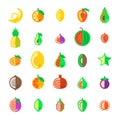 Exotic tropical fresh fruits flat style vector icons set