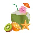 Exotic tropical fruit icon cartoon