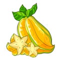 Exotic tropical fruit star carambola. vector illustration Royalty Free Stock Photo