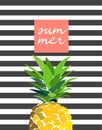 hello summer pineapple illustration.