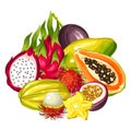 Exotic tropical fruits collection. Illustration of asian plants