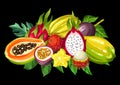 Exotic tropical fruits collection. Illustration of asian plants