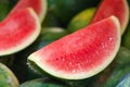 Exotic tropical fruits, watermelon fruit display in the fresh market Royalty Free Stock Photo