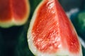 Exotic tropical fruits, watermelon fruit display in the fresh market Royalty Free Stock Photo