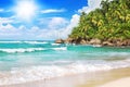 Exotic Tropical Island Landscape Turquoise Sea Water Ocean Wave, Green Palm Tree Leaves Sand Beach Summer Holidays Vacation Travel