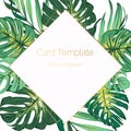 Exotic tropical jungle palm tree monstera green leaves. Square rhombus border frame card banner poster template.