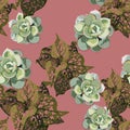 Exotic tropical jungle plants. Seamless vector tropical pattern with tropical plants with pink spots and succulents. Royalty Free Stock Photo