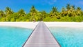 Maldives island beach background. Vacation and holiday with palm trees and tropical island beach Royalty Free Stock Photo