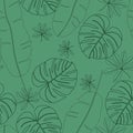 Exotic tropical leaves. Monstera collection Royalty Free Stock Photo