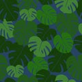 Exotic tropical leaves. Monstera collection Royalty Free Stock Photo