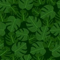 Exotic tropical leaves. Monstera collection Royalty Free Stock Photo