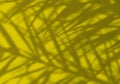 Exotic tropical palm branches on brigth yellow umbrella