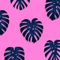 Exotic tropical palm leaves. Monstera leaves on millenial pink background. Exotic pattern