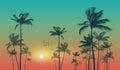 Exotic tropical palm trees at sunset or sunrise. Highly detaile Royalty Free Stock Photo