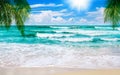 Exotic Tropical Paradise Island Sand Beach, Turquoise Sea Water Ocean Waves, Green Palm Tree Leaves, Sun, Blue Sky White Clouds
