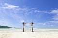 The Exotic Tropical Paradise Swings over Crystal Clear Turquoise Blue Ocean Sea Water Landscape Seascape Royalty Free Stock Photo