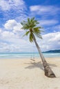 Exotic Tropical Paradise Swings over Crystal Clear Turquoise Blue Ocean Sea Water Landscape Seascape Royalty Free Stock Photo