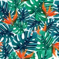 Exotic tropical pattern with monstera leaves and strelizia bird of paradise flowers . Natural seamless background.
